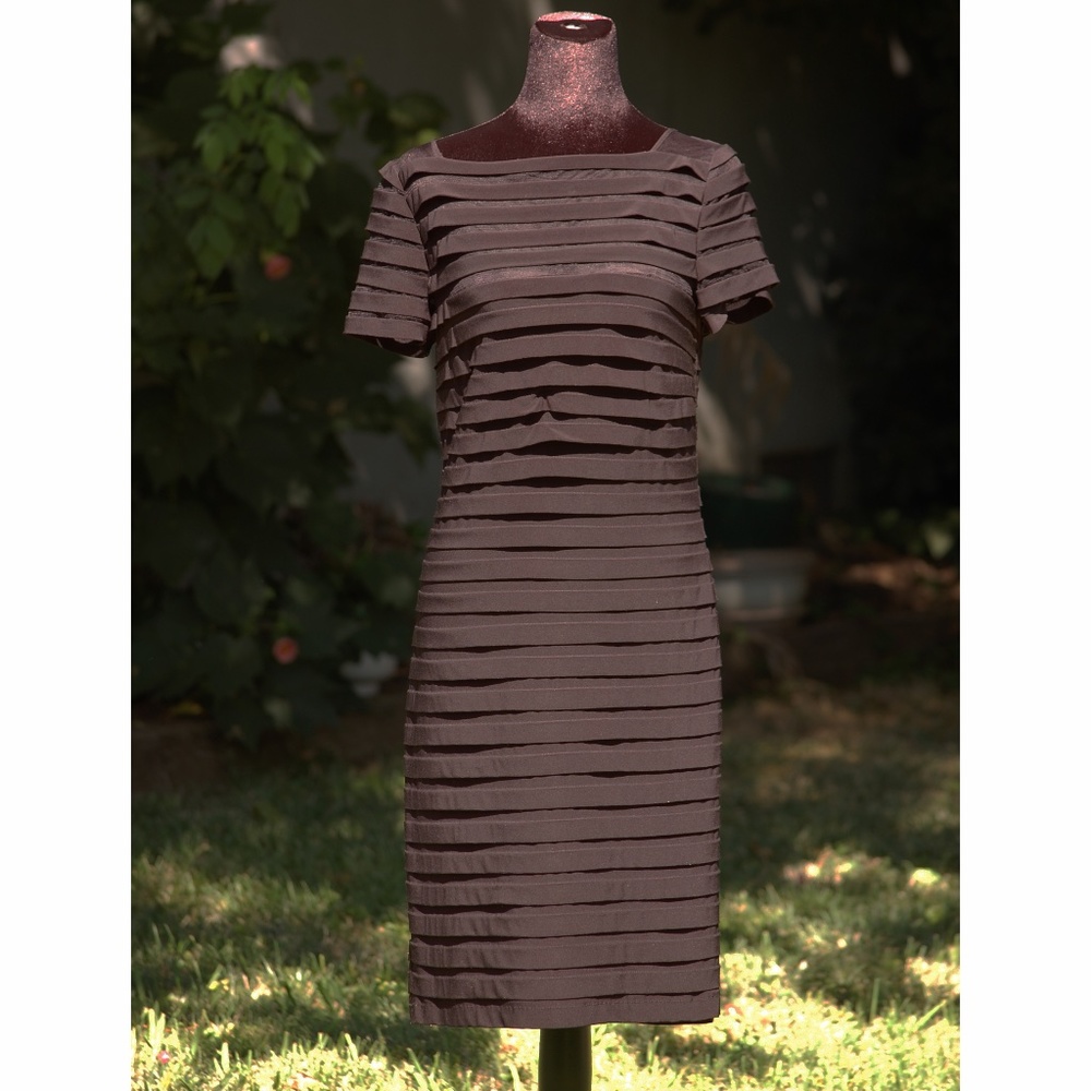 Adrianna Papell Banded Illusion Dress